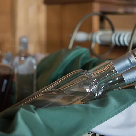 Badhof Ξενοδοχείο Altstätten